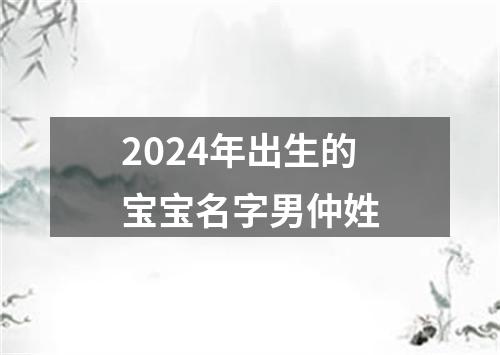 2024年出生的宝宝名字男仲姓