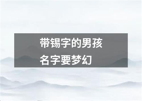 带锡字的男孩名字要梦幻