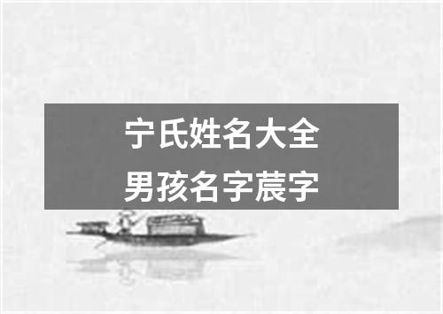 宁氏姓名大全男孩名字莀字