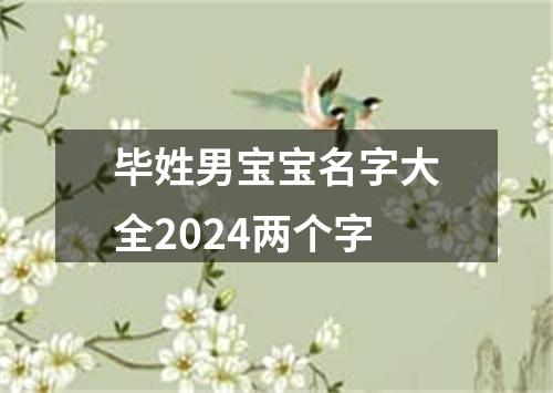 毕姓男宝宝名字大全2024两个字