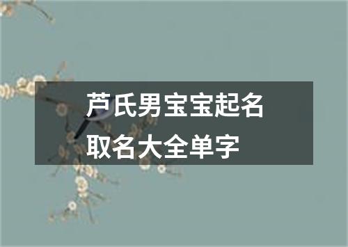 芦氏男宝宝起名取名大全单字