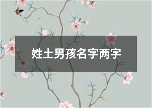 姓土男孩名字两字