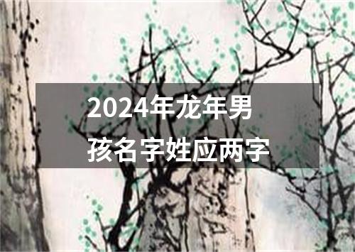 2024年龙年男孩名字姓应两字