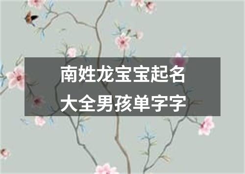 南姓龙宝宝起名大全男孩单字字