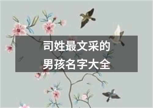 司姓最文采的男孩名字大全