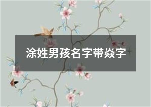 涂姓男孩名字带焱字