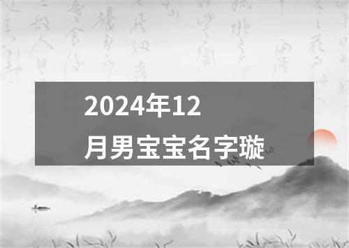 2024年12月男宝宝名字璇