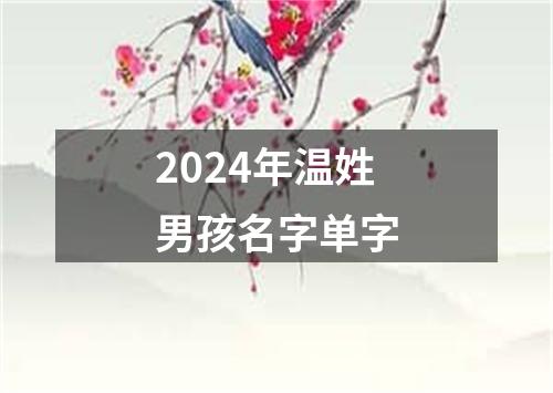 2024年温姓男孩名字单字