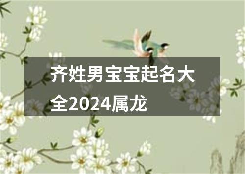 齐姓男宝宝起名大全2024属龙