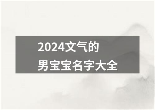 2024文气的男宝宝名字大全