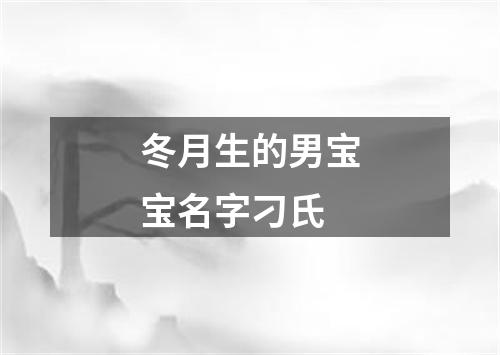 冬月生的男宝宝名字刁氏