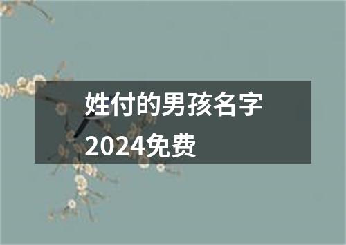 姓付的男孩名字2024免费