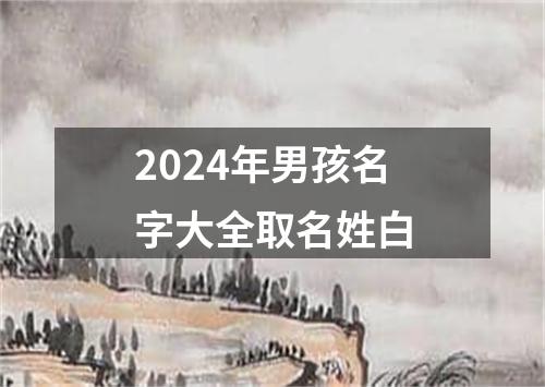 2024年男孩名字大全取名姓白