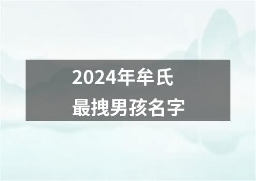 2024年牟氏最拽男孩名字