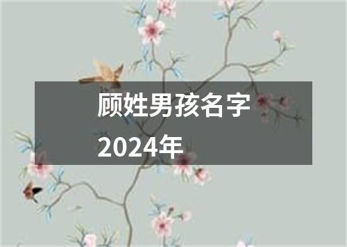 顾姓男孩名字2024年