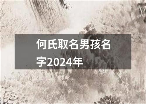 何氏取名男孩名字2024年