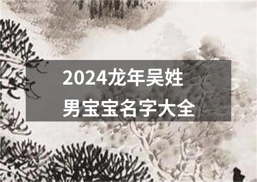 2024龙年吴姓男宝宝名字大全