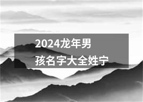 2024龙年男孩名字大全姓宁