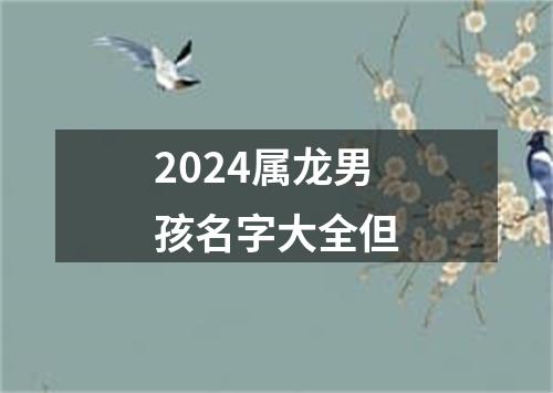 2024属龙男孩名字大全但