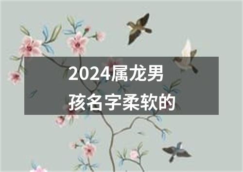 2024属龙男孩名字柔软的