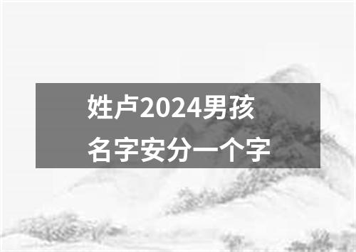 姓卢2024男孩名字安分一个字