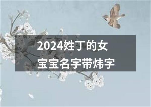 2024姓丁的女宝宝名字带炜字