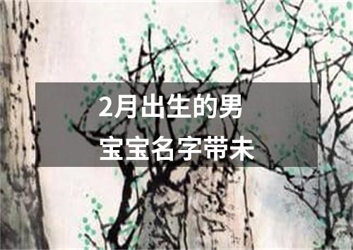 2月出生的男宝宝名字带未