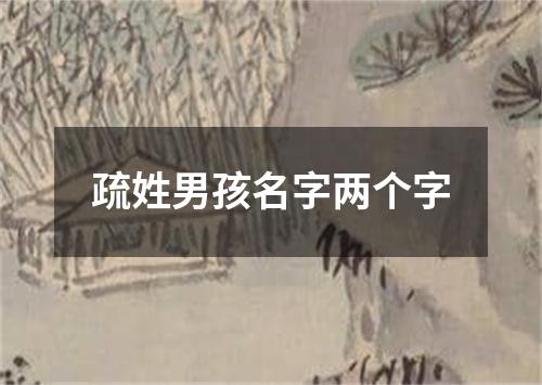 疏姓男孩名字两个字