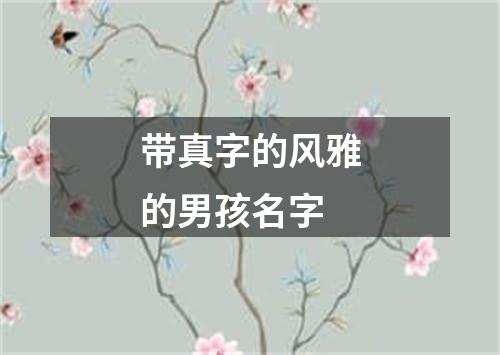 带真字的风雅的男孩名字