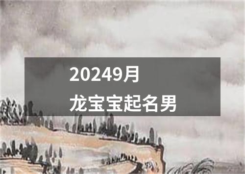 20249月龙宝宝起名男