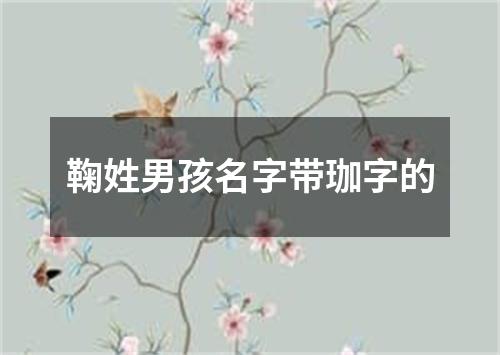 鞠姓男孩名字带珈字的