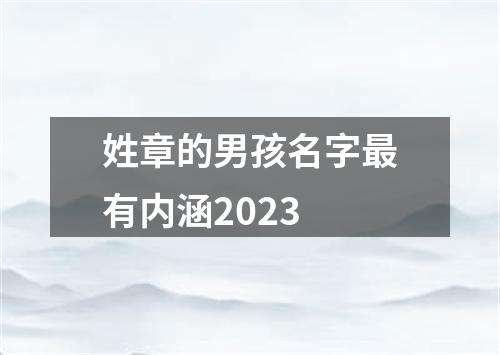 姓章的男孩名字最有内涵2023