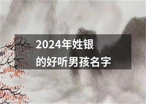 2024年姓银的好听男孩名字