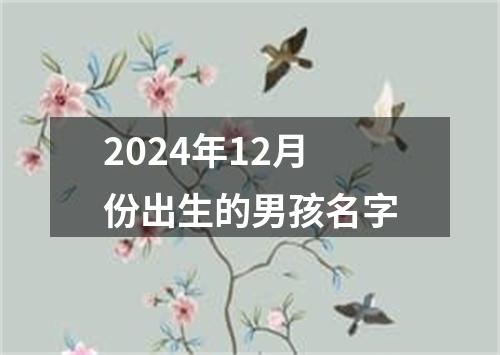 2024年12月份出生的男孩名字