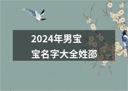 2024年男宝宝名字大全姓邵