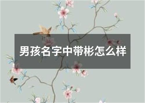 男孩名字中带彬怎么样