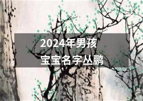 2024年男孩宝宝名字丛鹏