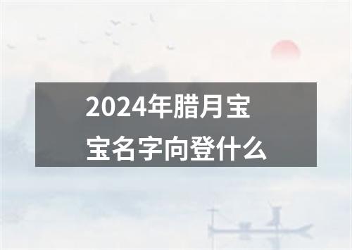 2024年腊月宝宝名字向登什么