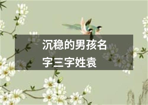 沉稳的男孩名字三字姓袁