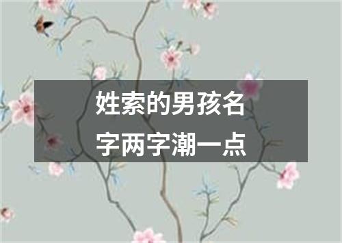 姓索的男孩名字两字潮一点