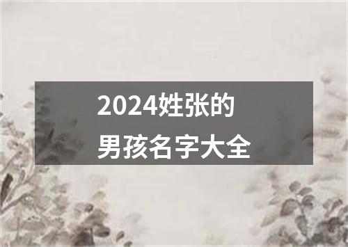 2024姓张的男孩名字大全