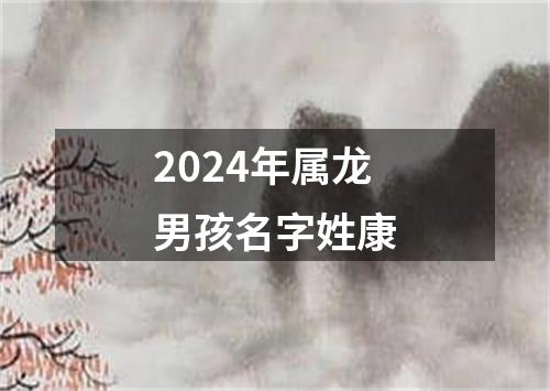 2024年属龙男孩名字姓康