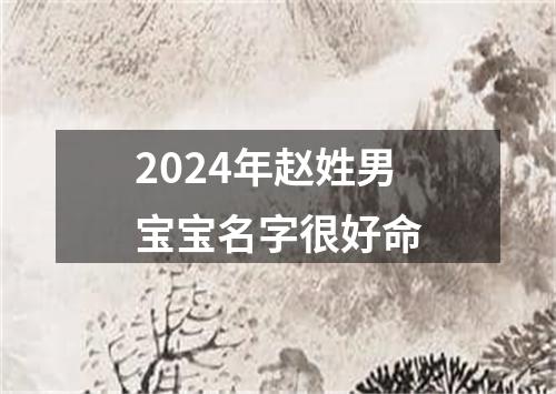 2024年赵姓男宝宝名字很好命