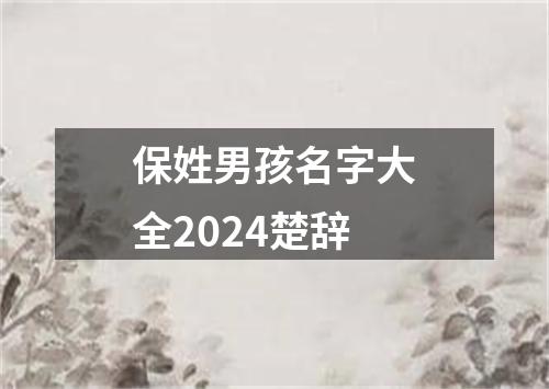 保姓男孩名字大全2024楚辞