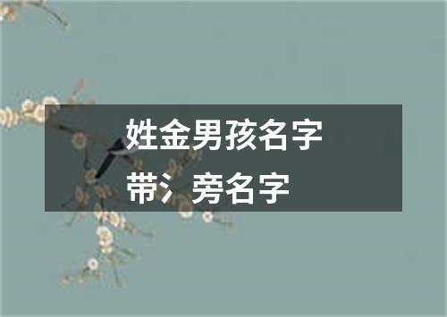 姓金男孩名字带氵旁名字