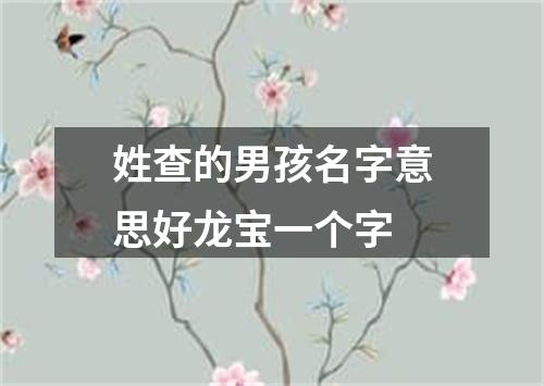 姓查的男孩名字意思好龙宝一个字