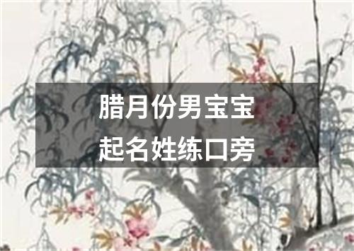 腊月份男宝宝起名姓练口旁