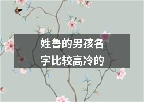 姓鲁的男孩名字比较高冷的