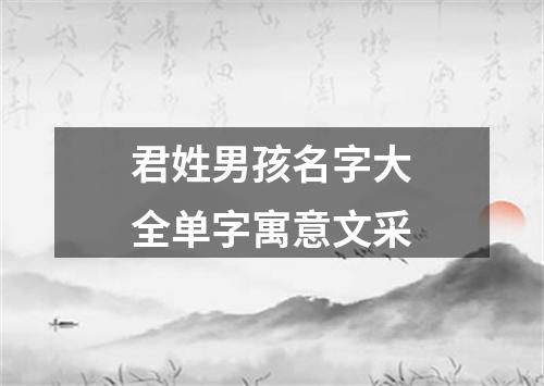 君姓男孩名字大全单字寓意文采