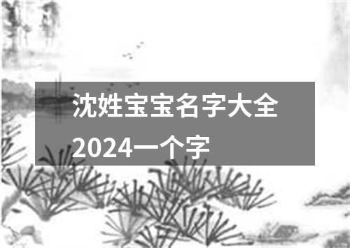 沈姓宝宝名字大全2024一个字